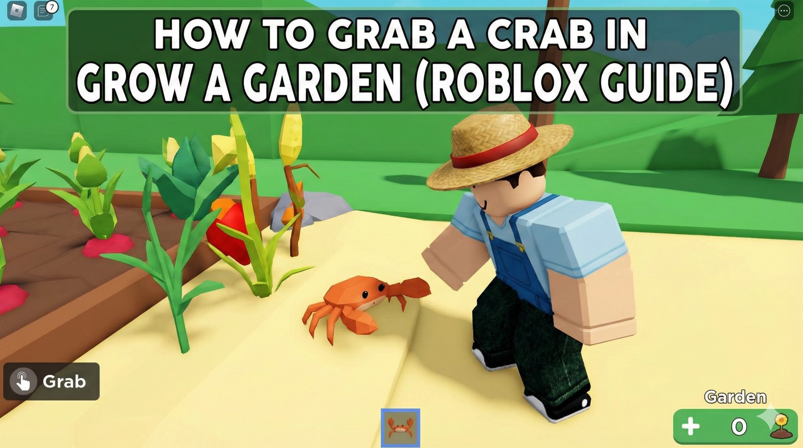 Grab a Crab