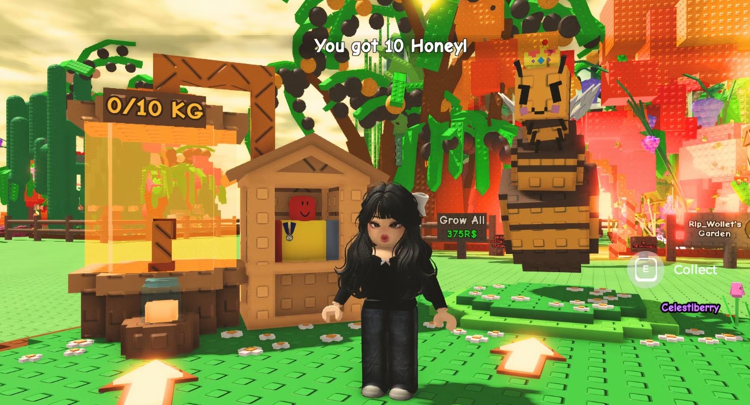 Where Can I Get Honey Packets